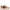 sofft-womens-janey-sneaker-1