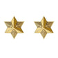 Astor & Orion - Women's Star Studs