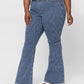 Judy Blue - High Waist Pin Stripe Super Flare Jeans