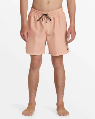 Billabong - All Day Overdyed Layback Surf Shorts