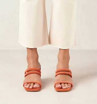 Alohas - Women's Indiana Pomelo Sandal