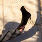 A.Emery - Women's Ophelia Pointed Toe Boots