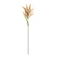 Astilbe stem (set of 12)