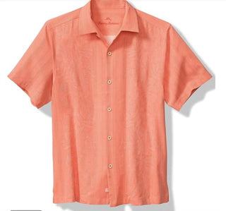 Tommy Bahama - maui border