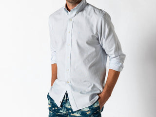 Duck Head - Collins Stripe Cotton Oxford Sport Shirt