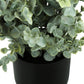 11" Tall Artificial Plant Eucalyptus Grass Indoor Decorative Set of 2