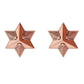 Astor & Orion - Women's Star Studs