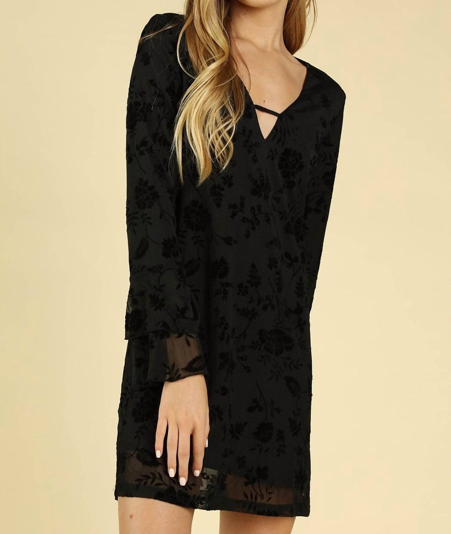 Honey Punch - Floral Velvet Burnout Dress