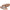sofft-womens-fallon-sandals