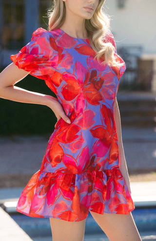 Hutch - Rayan Mini Dress