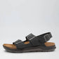 Birkenstock - Men's Milano CT Sandal
