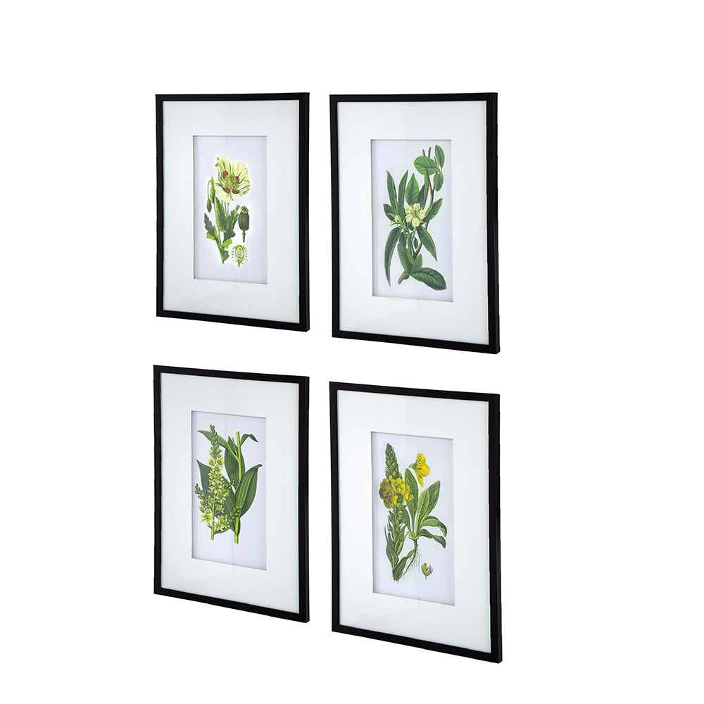 Verdure Elegance™ — Set of 4 Botanical Wall Art Prints