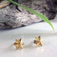 Astor & Orion - Women's Star Studs