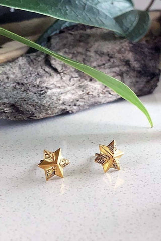 Astor & Orion - Women's Star Studs