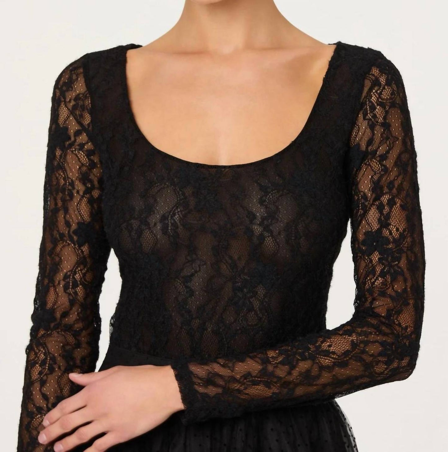 Astr - Haniya Lace Bodysuit