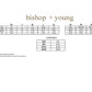 Bishop + Young - SUBLIME SLIP SKIRT