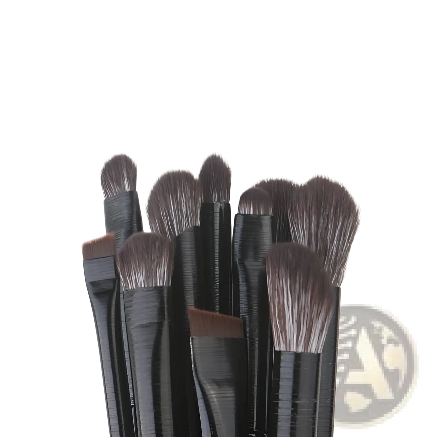 Black Eye Makeup Brush Set 10 Piece Matte Tools
