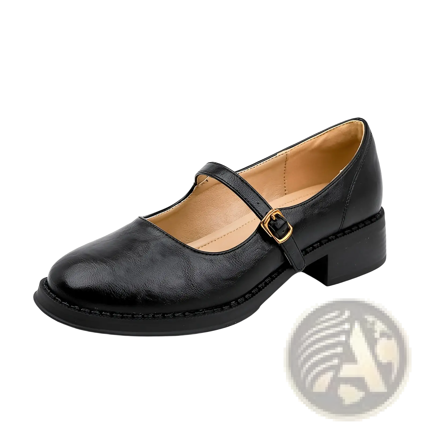 Black Leather Mary Jane Shoes with Block Heel