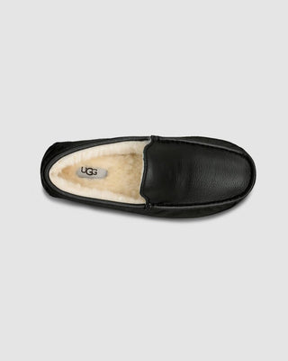 Ugg - Men Ascot Slipper