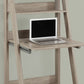 Computer Desk for Home Office with Storage Shelves