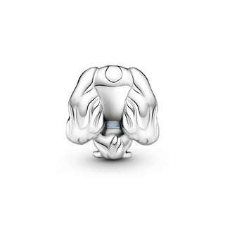 Pandora - Disney Lady Charm
