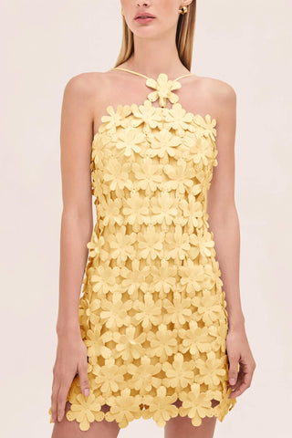 Alexis - Lily Halter Mini Dress