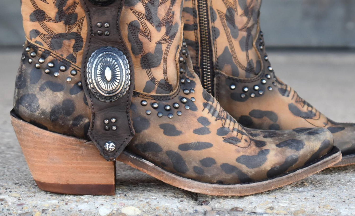 Liberty Black - Women's Buckled In Leopard Leather Bootie