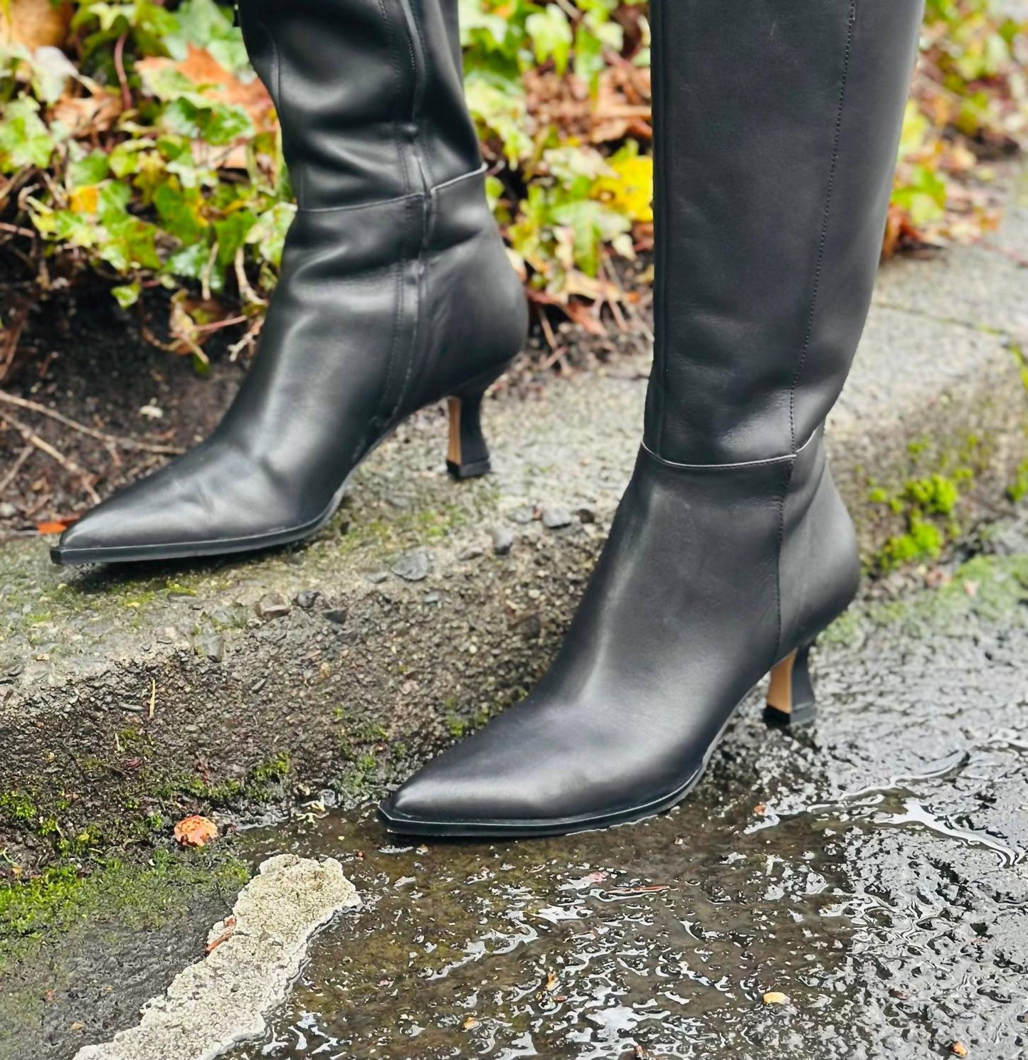 Dolce Vita - Women's Auggie Boot