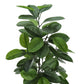 52" Tall Artificial Rubber Tree Plant - Indoor Faux Greenery