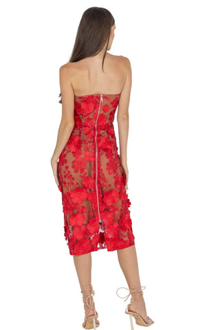 Akalia - Anni Floral Embroidered Strapless Midi Dress
