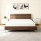 8" Twin Green Tea Memory Foam Mattress In Box - White