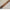 A Rare Bird - Women's Hand Tooled Leather Bracelet