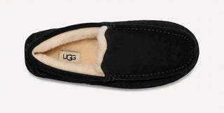 Ugg - Men Ascot Slipper