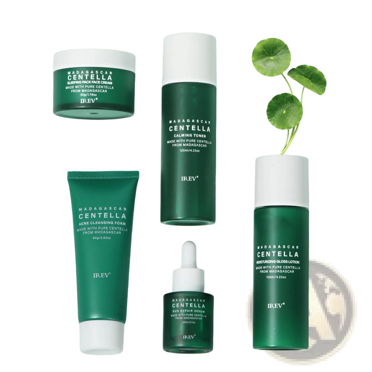 Centella Asiatica 5-piece Facial Skincare Set by Irev