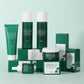 Centella Asiatica 5-piece Facial Skincare Set by Irev