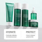 Centella Asiatica 5-piece Facial Skincare Set by Irev