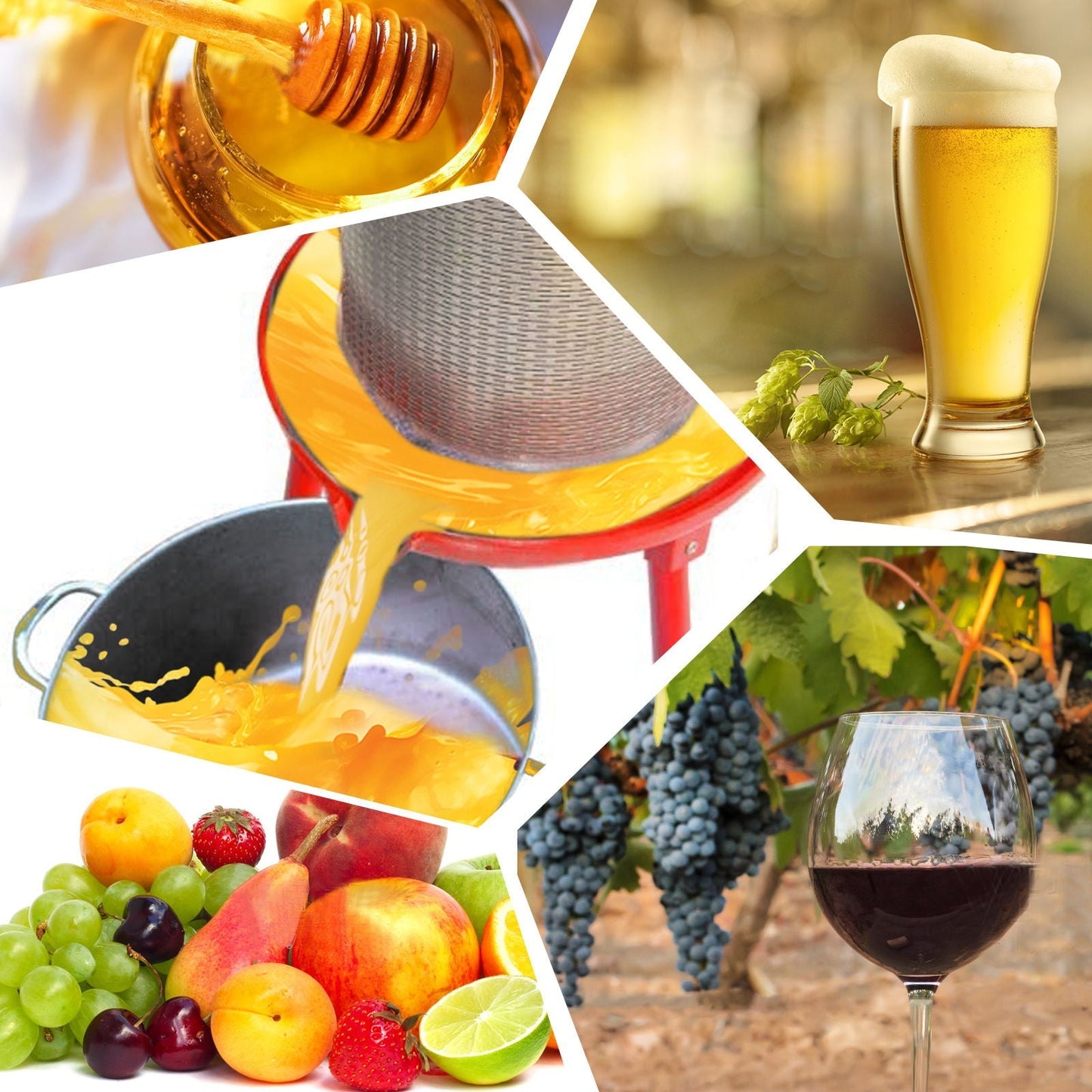 Hydraulic Fruit Wine Apple Press 5.3 Gallon / 20L
