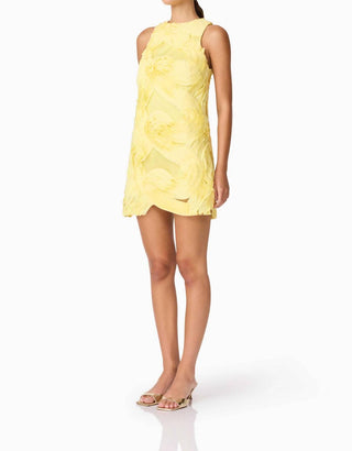 Elliatt - Asher Mini Shift Dress