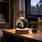 3d Crystal Ball Dinosaur Night Light Usb Bedside Lamp