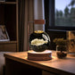 3d Crystal Ball Dinosaur Night Light Usb Bedside Lamp