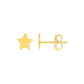 14k Yellow Gold Post Earrings with Stars