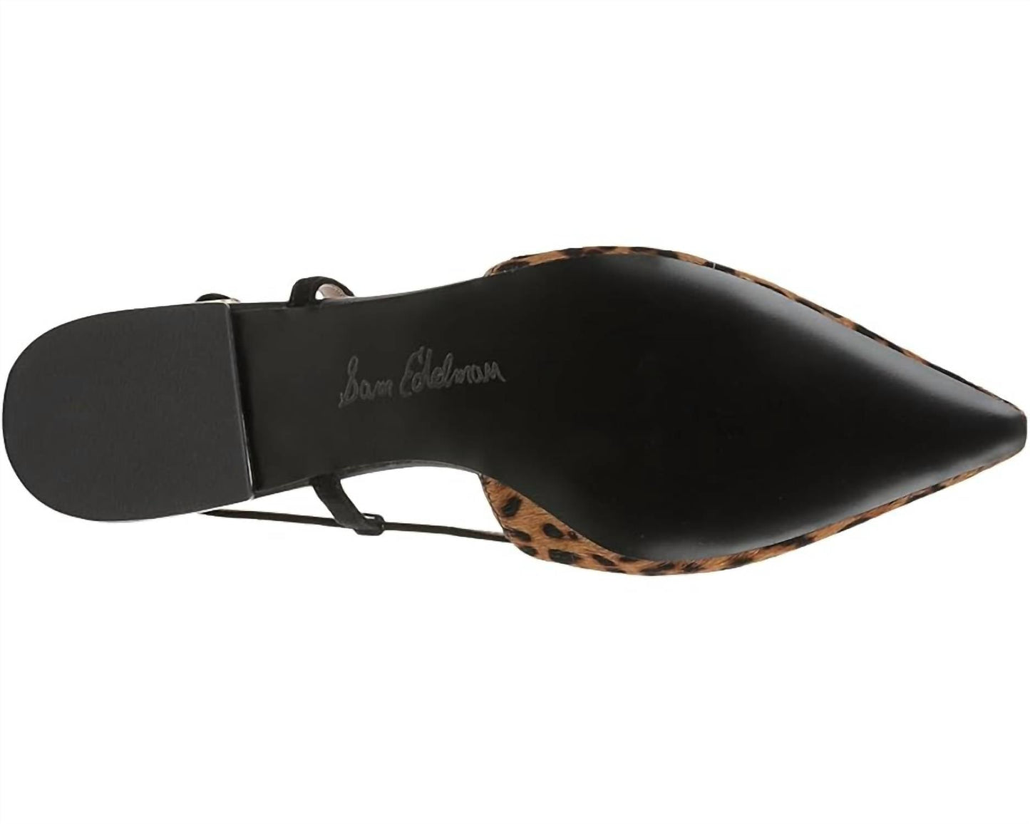 Sam Edelman - Women's Cohen Slingback Pointed Toe Flat