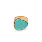 Ettika - Turquoise Solstice Ring
