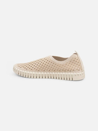 Ilse Jacobsen - Women's Tulip Sneaker