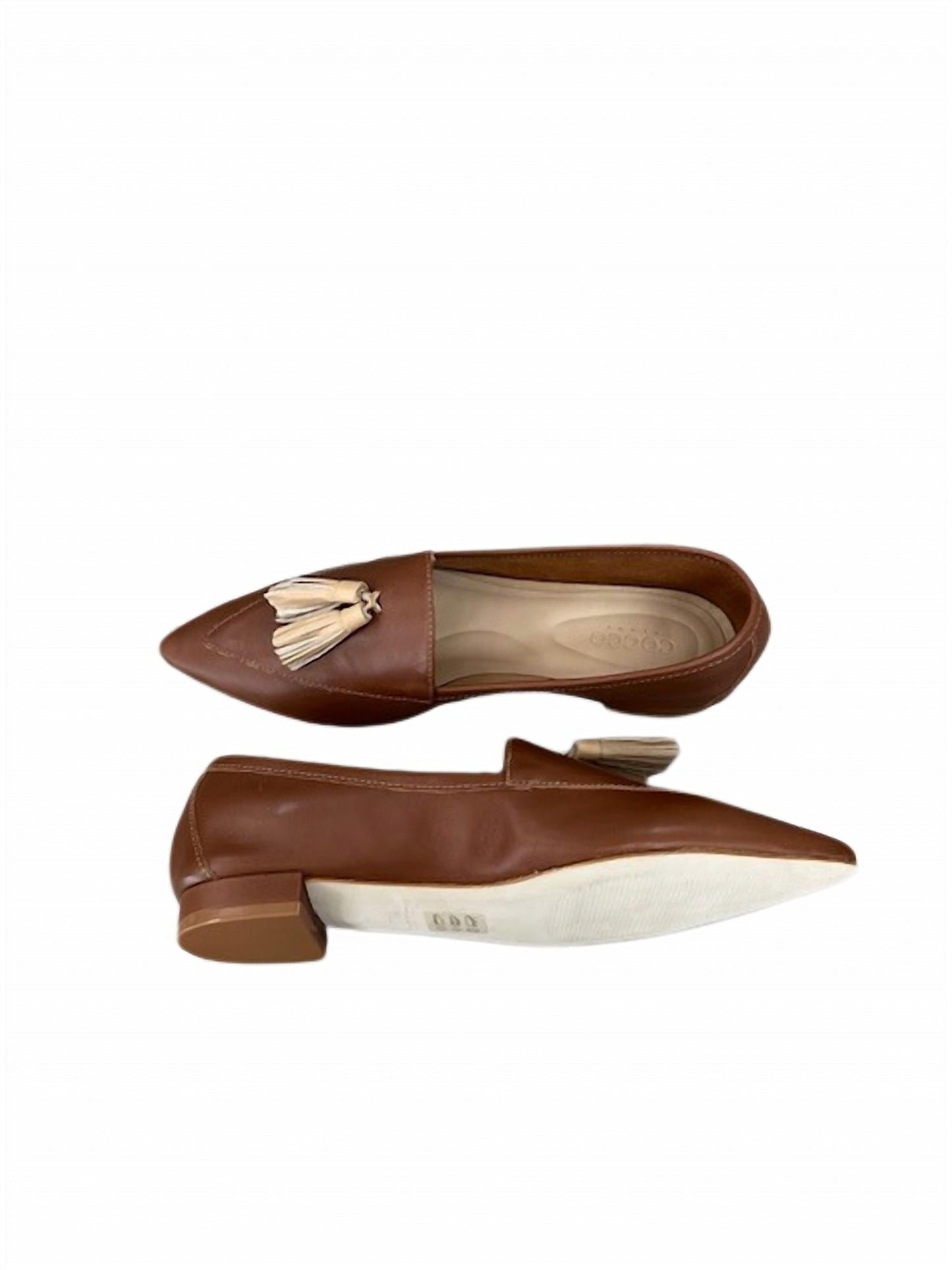 Cocco Miami - Women's Zs 19144-23 Pointed Toe