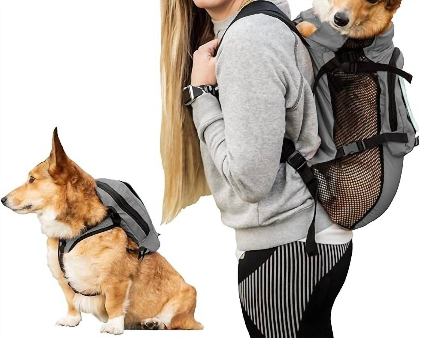 K9 Sport Sack - Lightweight & Packable Carrier With Harness & Storage