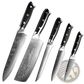 Damascus Steel Kitchen Knife Set 4 Piece G10 Handle