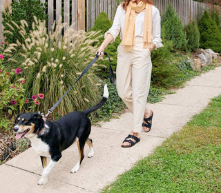 Dansko - DAYNA SANDAL