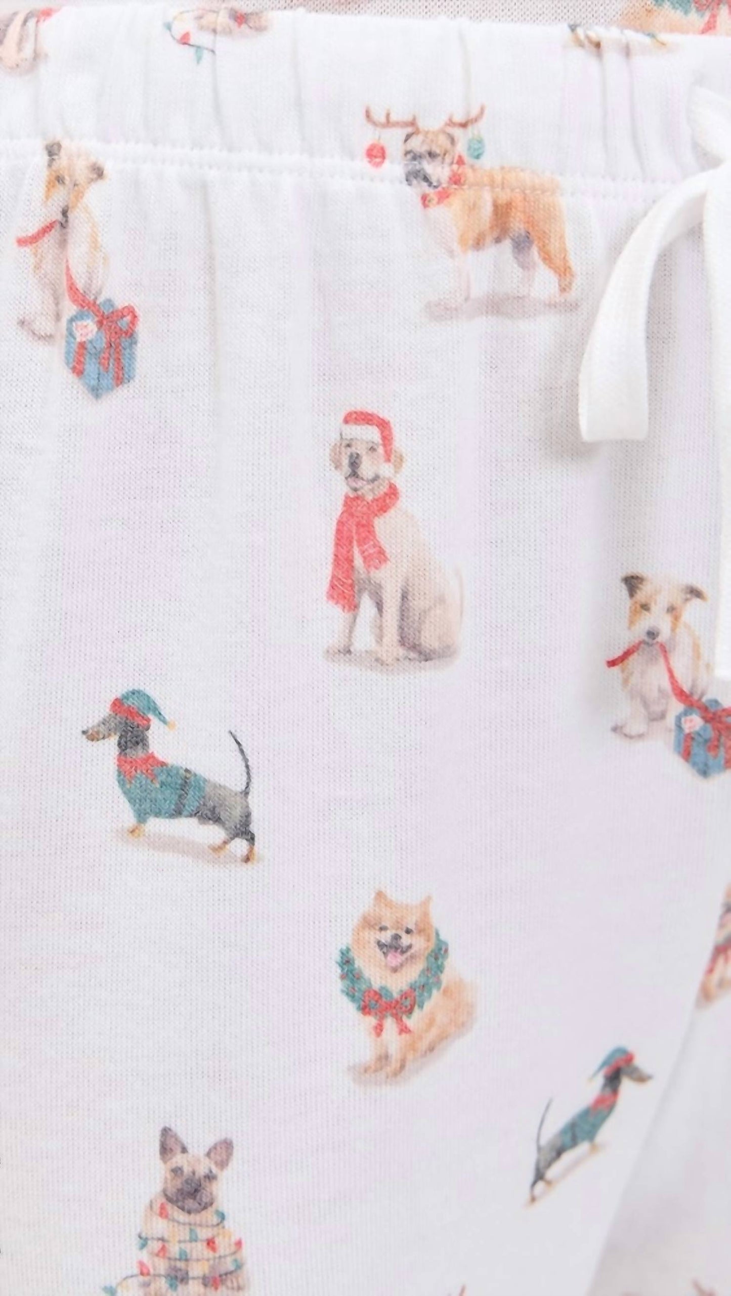 Z Supply - Softest Pajama Bottom