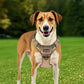 Tactical no Pull Heavy Duty Adjustable Dog Harness Vest